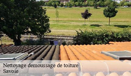 Nettoyage demoussage de toiture 73 Savoie  Zigler Angelo