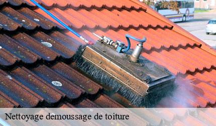 Nettoyage demoussage de toiture 73 Savoie  Zigler Angelo