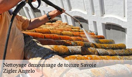 Nettoyage demoussage de toiture 73 Savoie  Zigler Angelo