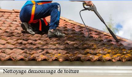 Nettoyage demoussage de toiture 73 Savoie  Zigler Angelo