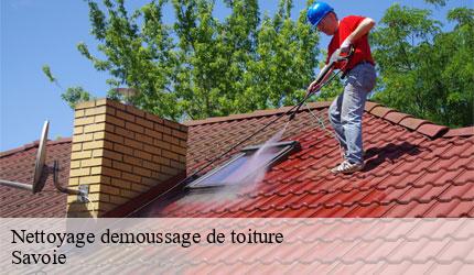 Nettoyage demoussage de toiture 73 Savoie  Zigler Angelo