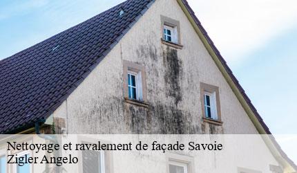 Nettoyage et ravalement de façade 73 Savoie  Zigler Angelo