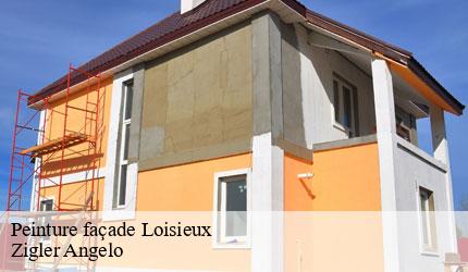 Peinture façade  loisieux-73170 Zigler Angelo