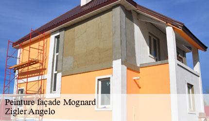 Peinture façade  mognard-73410 Zigler Angelo
