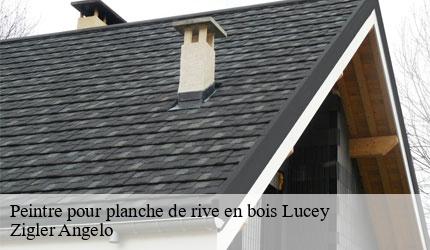 Peintre pour planche de rive en bois  lucey-73170 Zigler Angelo