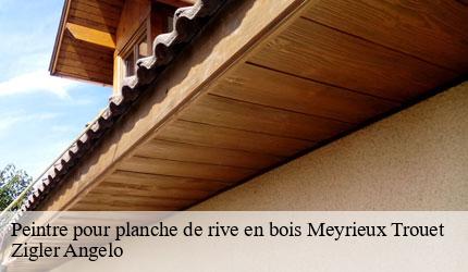 Peintre pour planche de rive en bois  meyrieux-trouet-73170 Zigler Angelo