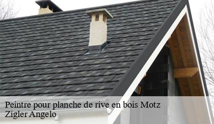 Peintre pour planche de rive en bois  motz-73310 Zigler Angelo