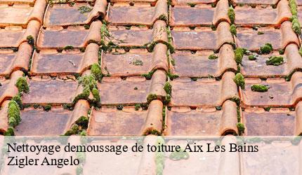 Nettoyage demoussage de toiture  aix-les-bains-73100 Zigler Angelo