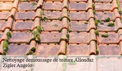 Nettoyage demoussage de toiture  allondaz-73200 Zigler Angelo