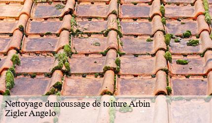 Nettoyage demoussage de toiture  arbin-73800 Zigler Angelo