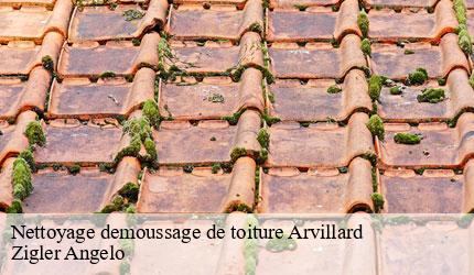 Nettoyage demoussage de toiture  arvillard-73110 Zigler Angelo