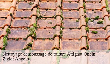 Nettoyage demoussage de toiture  attignat-oncin-73610 Zigler Angelo