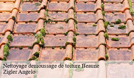 Nettoyage demoussage de toiture  beaune-73140 Zigler Angelo