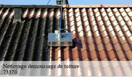 Nettoyage demoussage de toiture  bourdeau-73370 Zigler Angelo