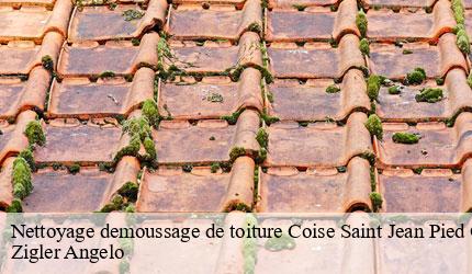 Nettoyage demoussage de toiture  coise-saint-jean-pied-gauthi-73800 Zigler Angelo