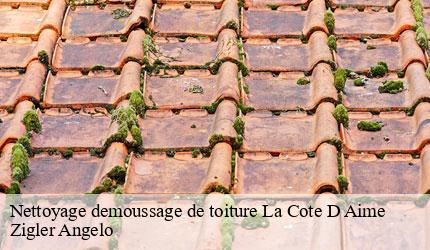 Nettoyage demoussage de toiture la-cote-d-aime-73210 Zigler Angelo