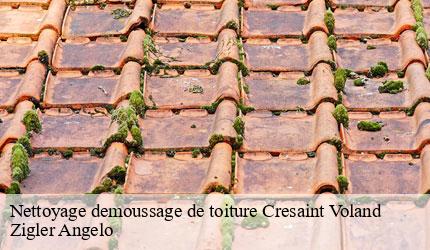 Nettoyage demoussage de toiture  cresaint-voland-73590 Zigler Angelo