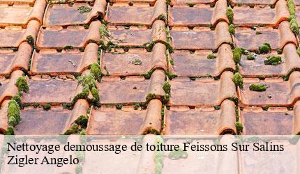 Nettoyage demoussage de toiture  feissons-sur-salins-73350 Zigler Angelo