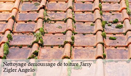Nettoyage demoussage de toiture jarsy-73630 Zigler Angelo
