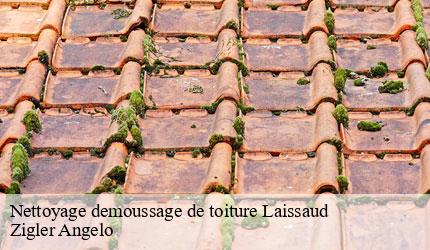 Nettoyage demoussage de toiture  laissaud-73800 Zigler Angelo