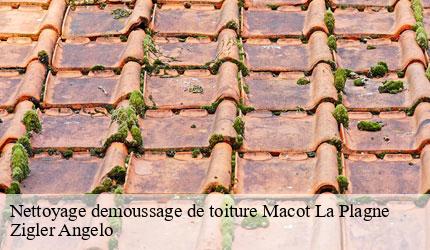 Nettoyage demoussage de toiture  macot-la-plagne-73210 Zigler Angelo