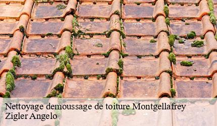 Nettoyage demoussage de toiture  montgellafrey-73130 Zigler Angelo