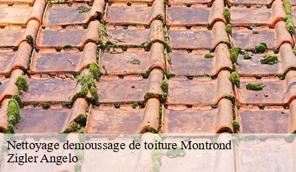 Nettoyage demoussage de toiture montrond-73530 Zigler Angelo