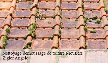 Nettoyage demoussage de toiture  moutiers-73600 Zigler Angelo