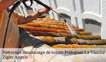 Nettoyage demoussage de toiture  pralognan-la-vanoise-73710 Zigler Angelo