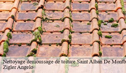 Nettoyage demoussage de toiture saint-alban-de-montbel-73610 Zigler Angelo