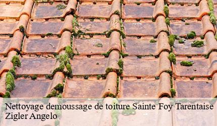 Nettoyage demoussage de toiture sainte-foy-tarentaise-73640 Zigler Angelo