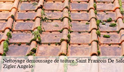 Nettoyage demoussage de toiture  saint-francois-de-sales-73340 Zigler Angelo