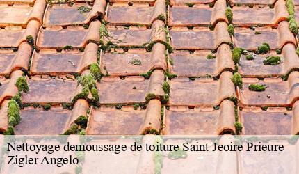 Nettoyage demoussage de toiture  saint-jeoire-prieure-73190 Zigler Angelo