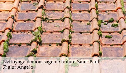 Nettoyage demoussage de toiture  saint-paul-73170 Zigler Angelo