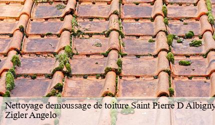 Nettoyage demoussage de toiture  saint-pierre-d-albigny-73250 Zigler Angelo