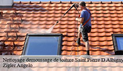 Nettoyage demoussage de toiture  saint-pierre-d-albigny-73250 Zigler Angelo