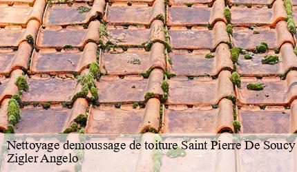 Nettoyage demoussage de toiture  saint-pierre-de-soucy-73800 Zigler Angelo