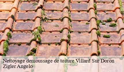 Nettoyage demoussage de toiture villard-sur-doron-73270 Zigler Angelo