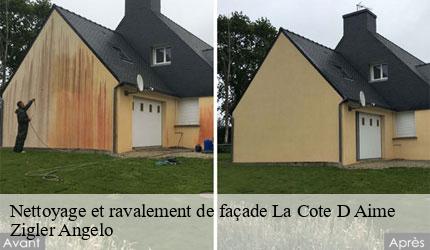 Nettoyage et ravalement de façade la-cote-d-aime-73210 Zigler Angelo