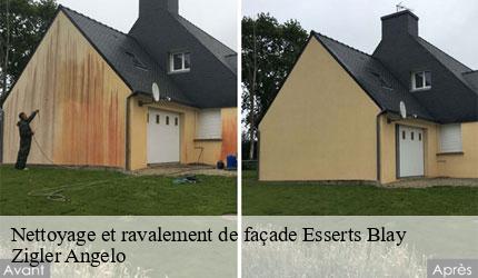 Nettoyage et ravalement de façade esserts-blay-73540 Zigler Angelo