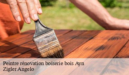 Peintre rénovation boiserie bois  ayn-73470 Zigler Angelo