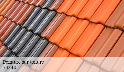 Peinture sur toiture  aillon-le-vieux-73340 Zigler Angelo