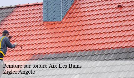 Peinture sur toiture  aix-les-bains-73100 Zigler Angelo