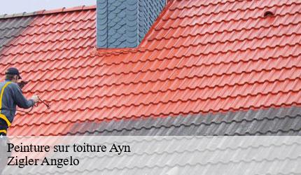 Peinture sur toiture ayn-73470 Zigler Angelo