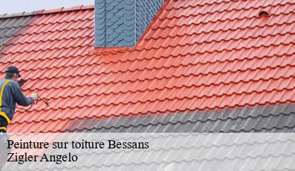 Peinture sur toiture  bessans-73480 Zigler Angelo