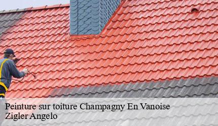 Peinture sur toiture  champagny-en-vanoise-73350 Zigler Angelo