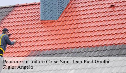 Peinture sur toiture  coise-saint-jean-pied-gauthi-73800 Zigler Angelo