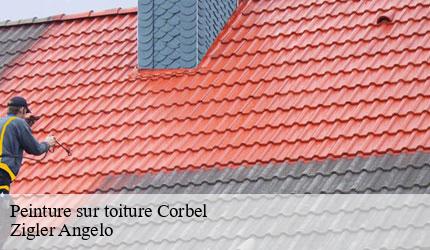 Peinture sur toiture  corbel-73160 Zigler Angelo