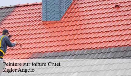 Peinture sur toiture  cruet-73800 Zigler Angelo