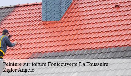 Peinture sur toiture  fontcouverte-la-toussuire-73300 Zigler Angelo